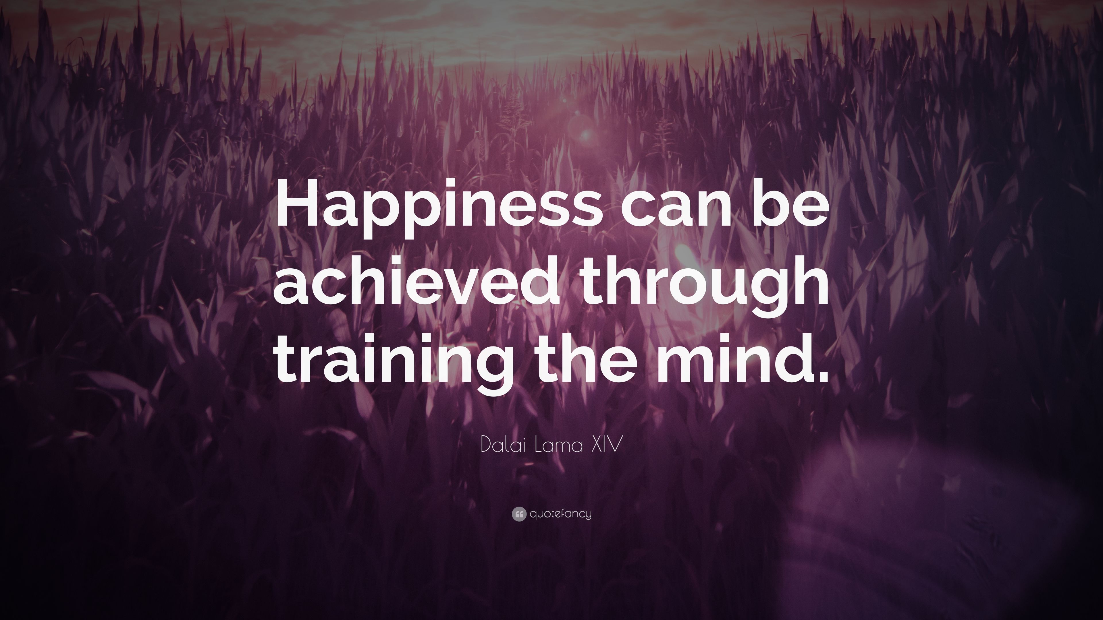 3690469-Dalai-Lama-XIV-Quote-Happiness-can-be-achieved-through-training.jpg